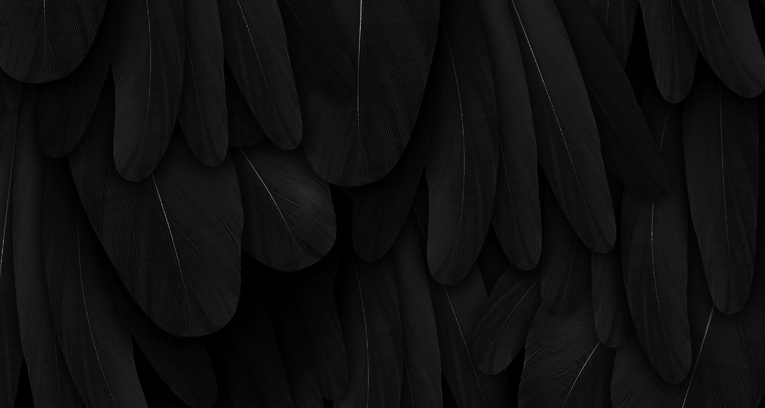 Something Wicked Lingerie