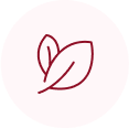 vegan leaves icon in red